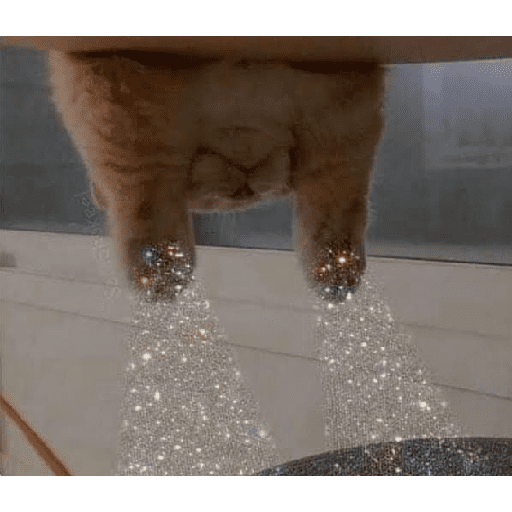 Dilo con Gatos 2