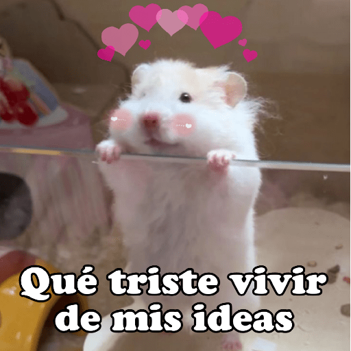 Hámsters No Copy Zone🐹✨ 16