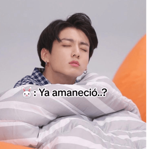 BTS 8 27