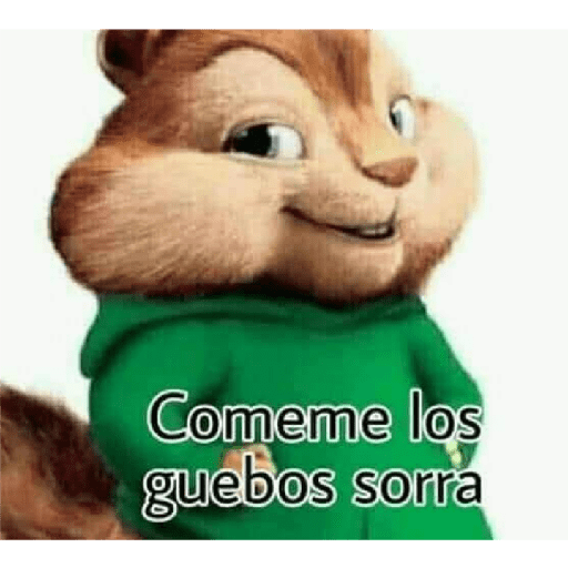 Carlo es gay 🏳️‍🌈 20
