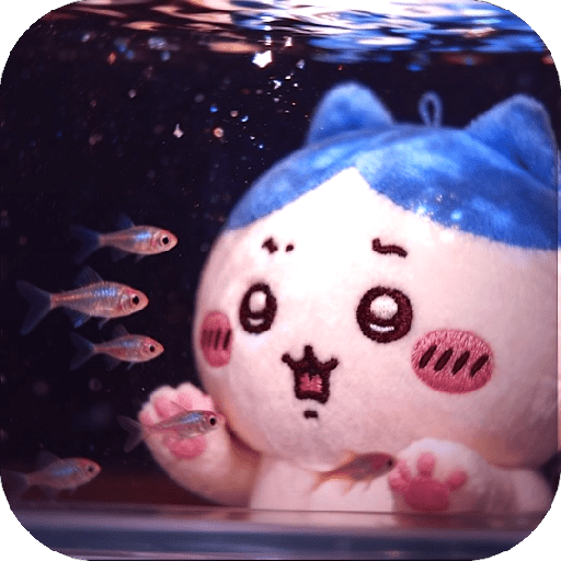 ボア ܢ⌁𐺫𐺤 Peluche /入札  ꯭𐨚┃̸ᨛ 6