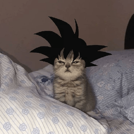 Dragon ball memes 25