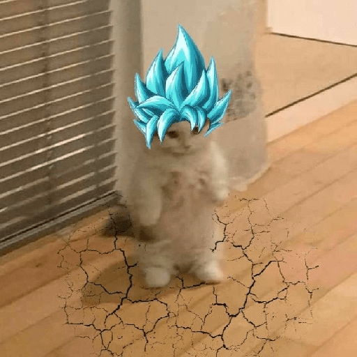 Dragon ball memes 29