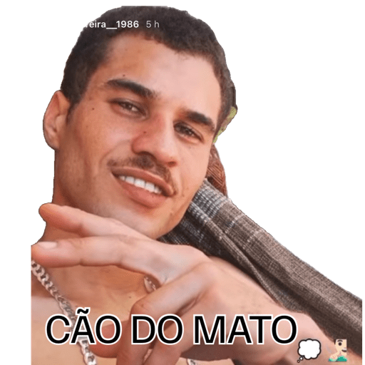 Novo 7