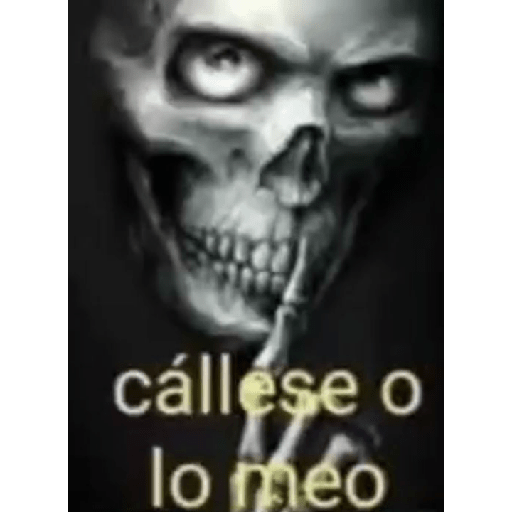 Carlo es gay 🏳️‍🌈 21