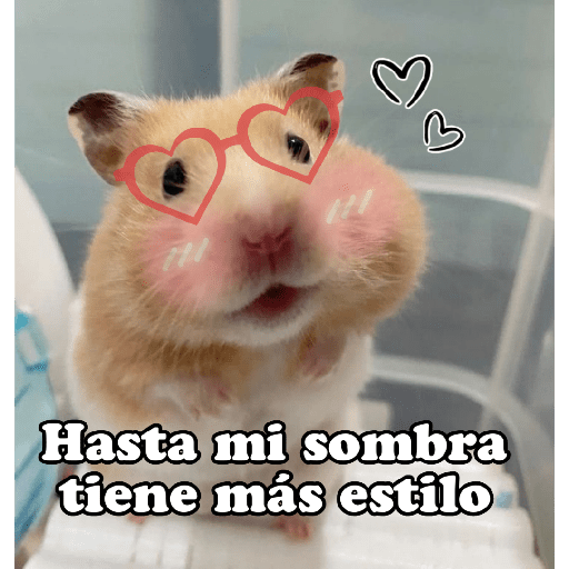 Hámsters No Copy Zone🐹✨ 4
