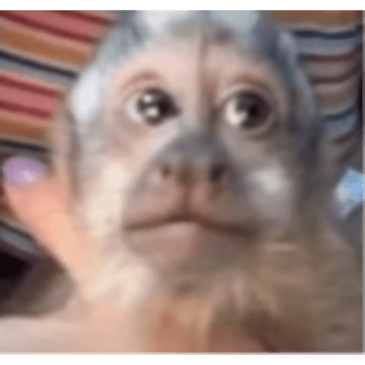 MEMES RANDOM PARTE 65 28