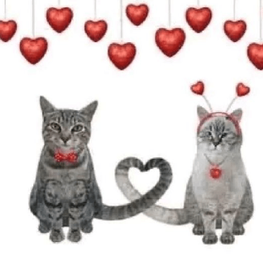 Gatitos y perritos :3 11