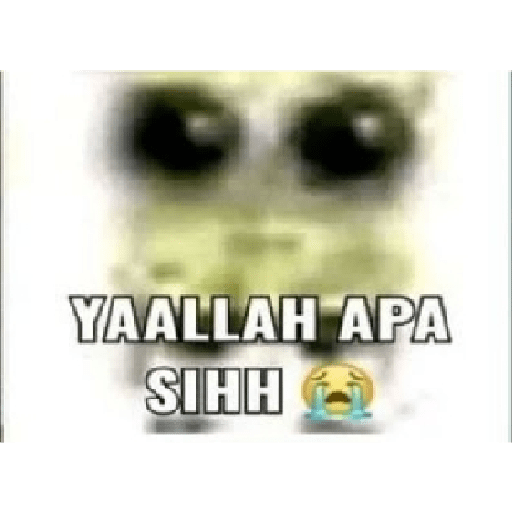 Malas 9