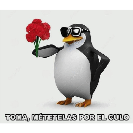 Por favor 11