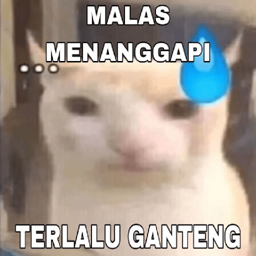 Kucing bucin 14