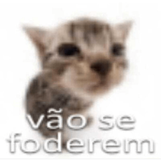 Dhoabskana 6