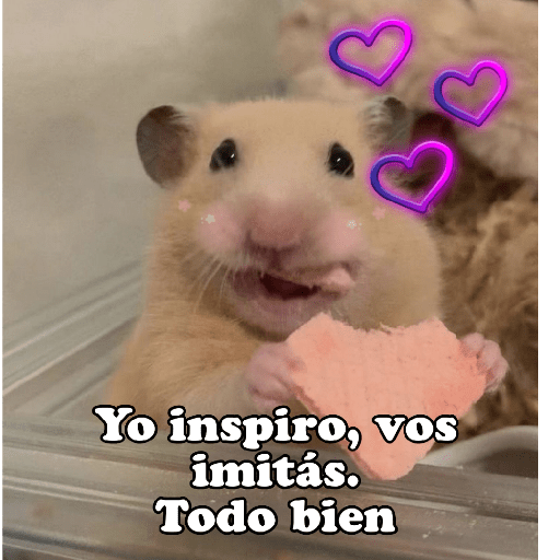 Hámsters No Copy Zone🐹✨ 11