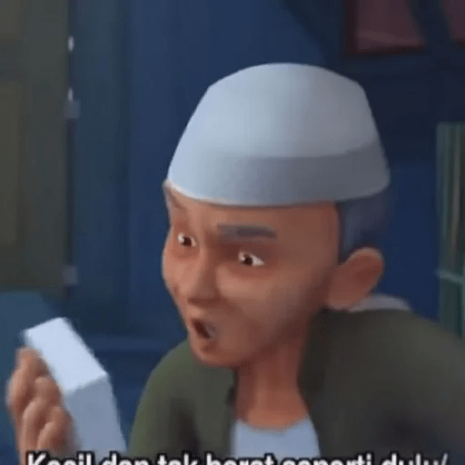 Tok dalang 17