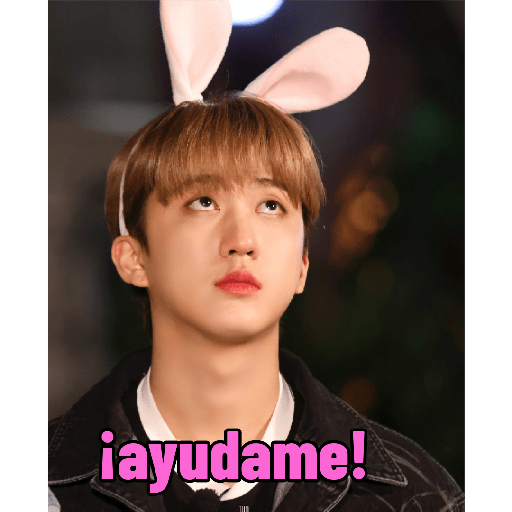 Stray kids 22