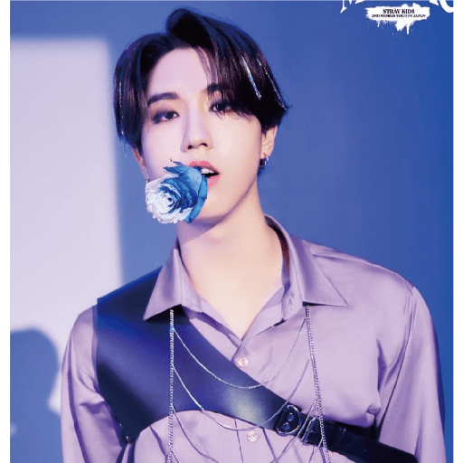 Stray kids 16