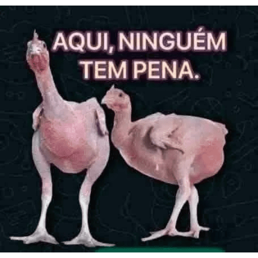 Divertidos 13