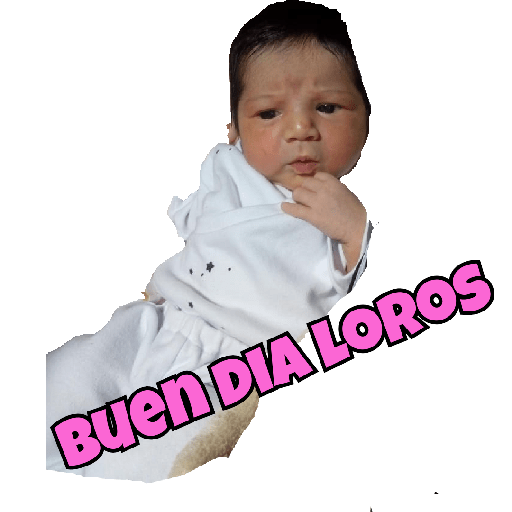 Familia232322 28