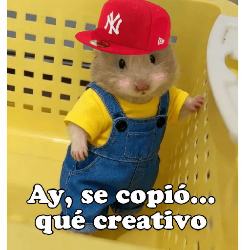 Hámsters No Copy Zone🐹✨ 2
