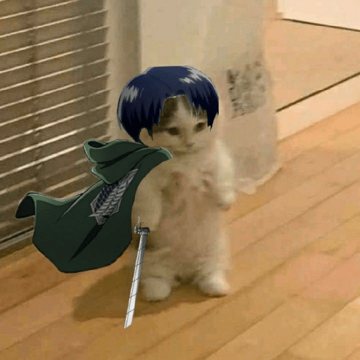Anime cosplay cat 5