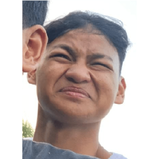 Packpack 12