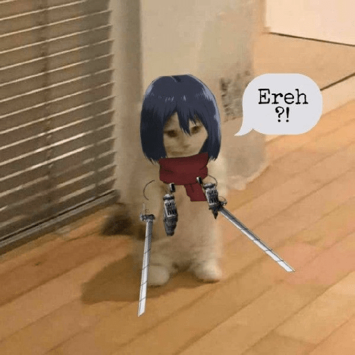 Anime cosplay cat 9