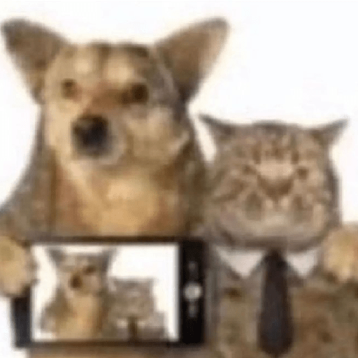 Gatitos y perritos :3 8