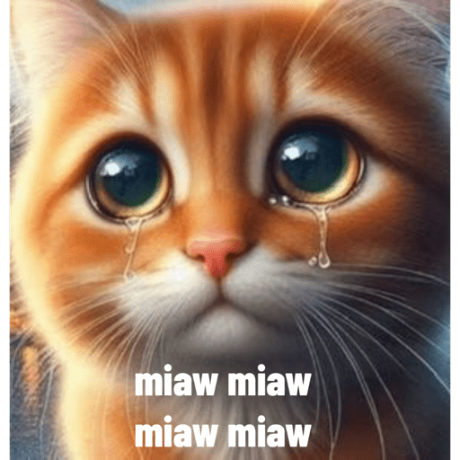 Cats 3