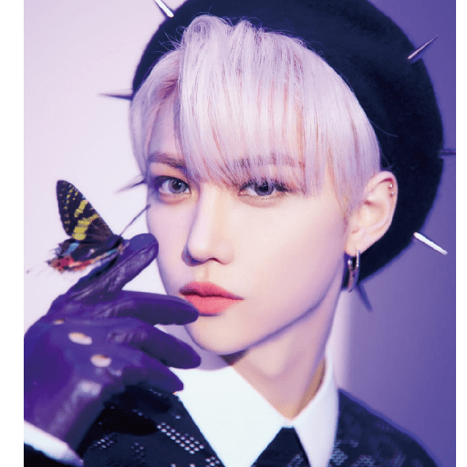 Stray kids 13
