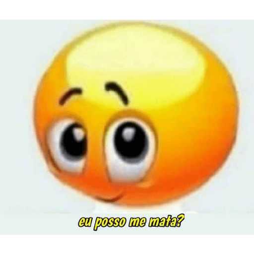 As minhas 14