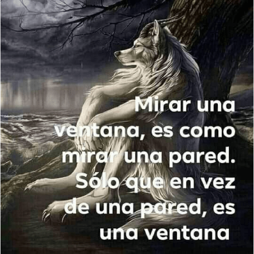 Sé un lobo 8