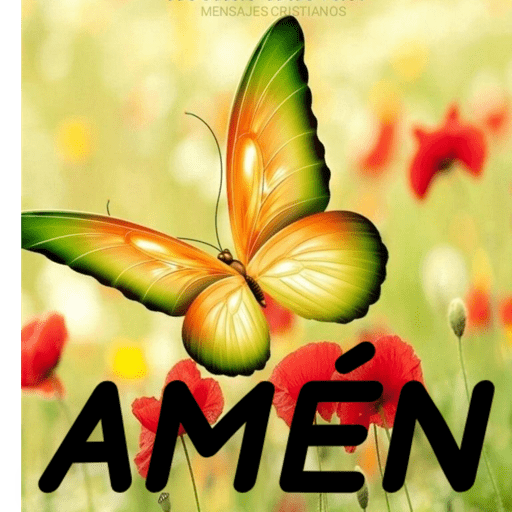 ♥️Amén y Alabanzas🙌🏻 12