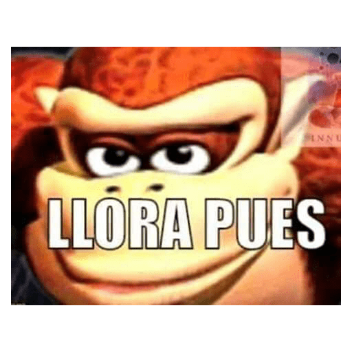 Carlo es gay 🏳️‍🌈 26