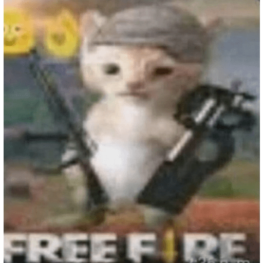 Cats 2 1