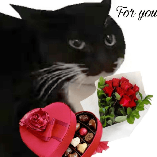 Gatitos y perritos :3 9