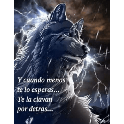 Sé un lobo 7