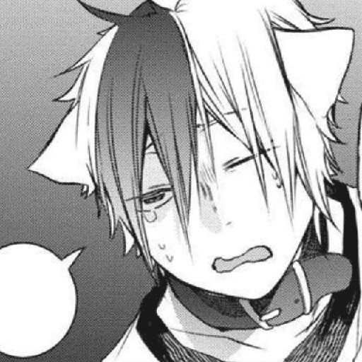 Akisame Tamao : Manga 17