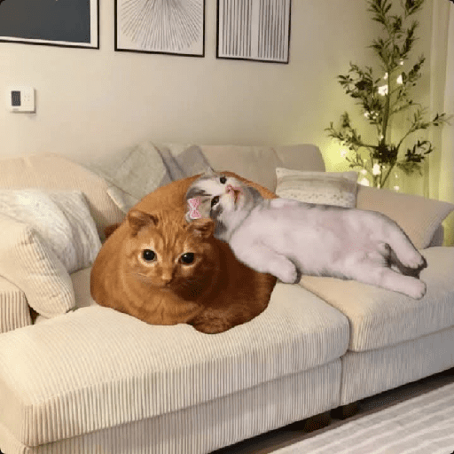 GATOS RANDOM - PARTE 55 14