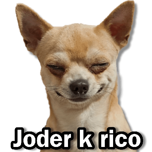 Memes Chihuahua🐶 7