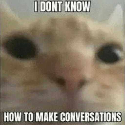 El gato 6