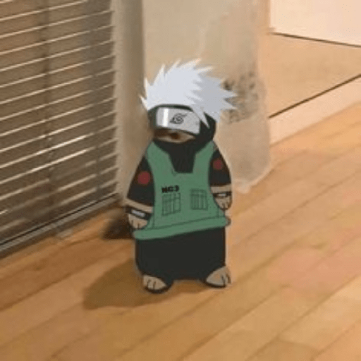 Anime cosplay cat 15
