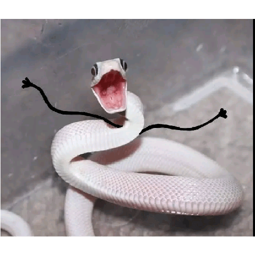 Sei lá kkk 16