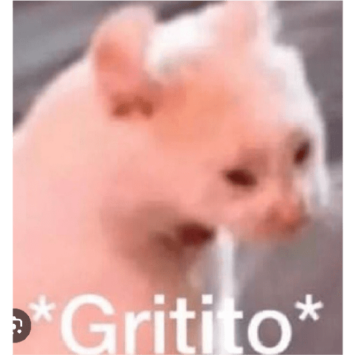 Yoooo 21