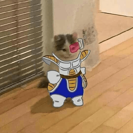 Dragon ball memes 28