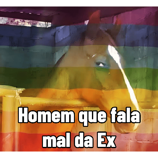 Salário  13