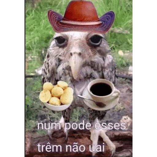 Kkk 22