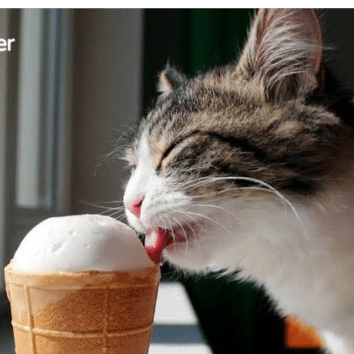 Gatitos comiendo dulces  18