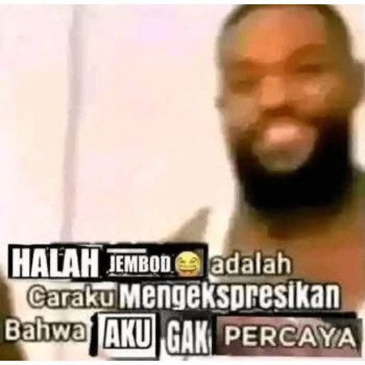 My stiker jomok gweh 😹 16