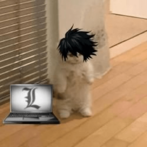Anime cosplay cat 3