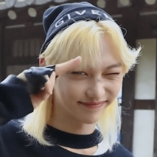 Stray kids 15